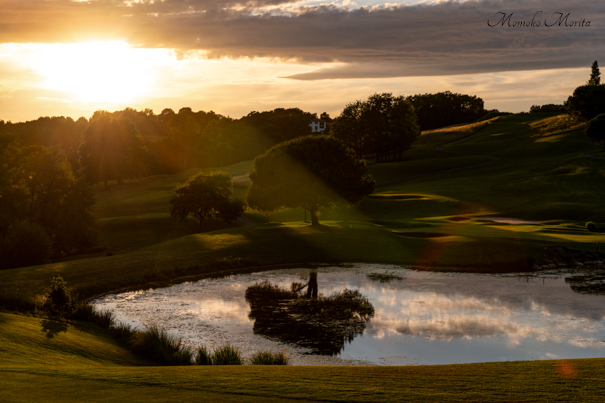 Greenery and Tree Shadows at Sunset,  Arcangues